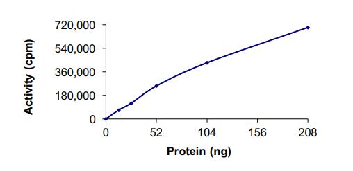 The specific activity of TBK1 was determined to be 286.5 nmol/min/mg as per activity assay protocol.